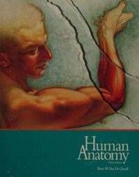 Image of Human Anatomy