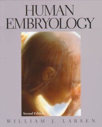 Image of Human Embryology