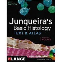 Image of Junqueira's Basic Histology : Text & Atlas
