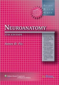 Image of Neuroanatomy
